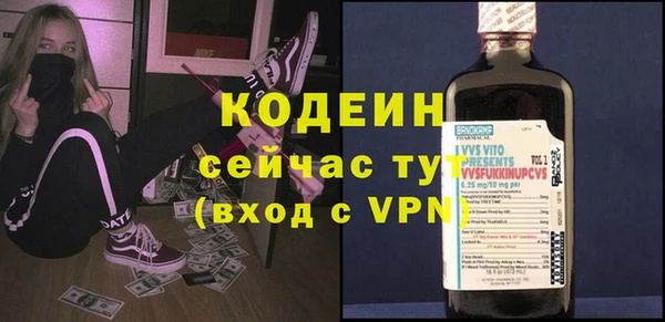СК Новозыбков