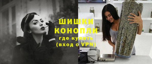 apvp Болотное
