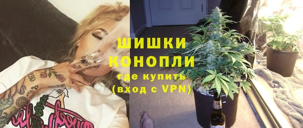 СК Новозыбков